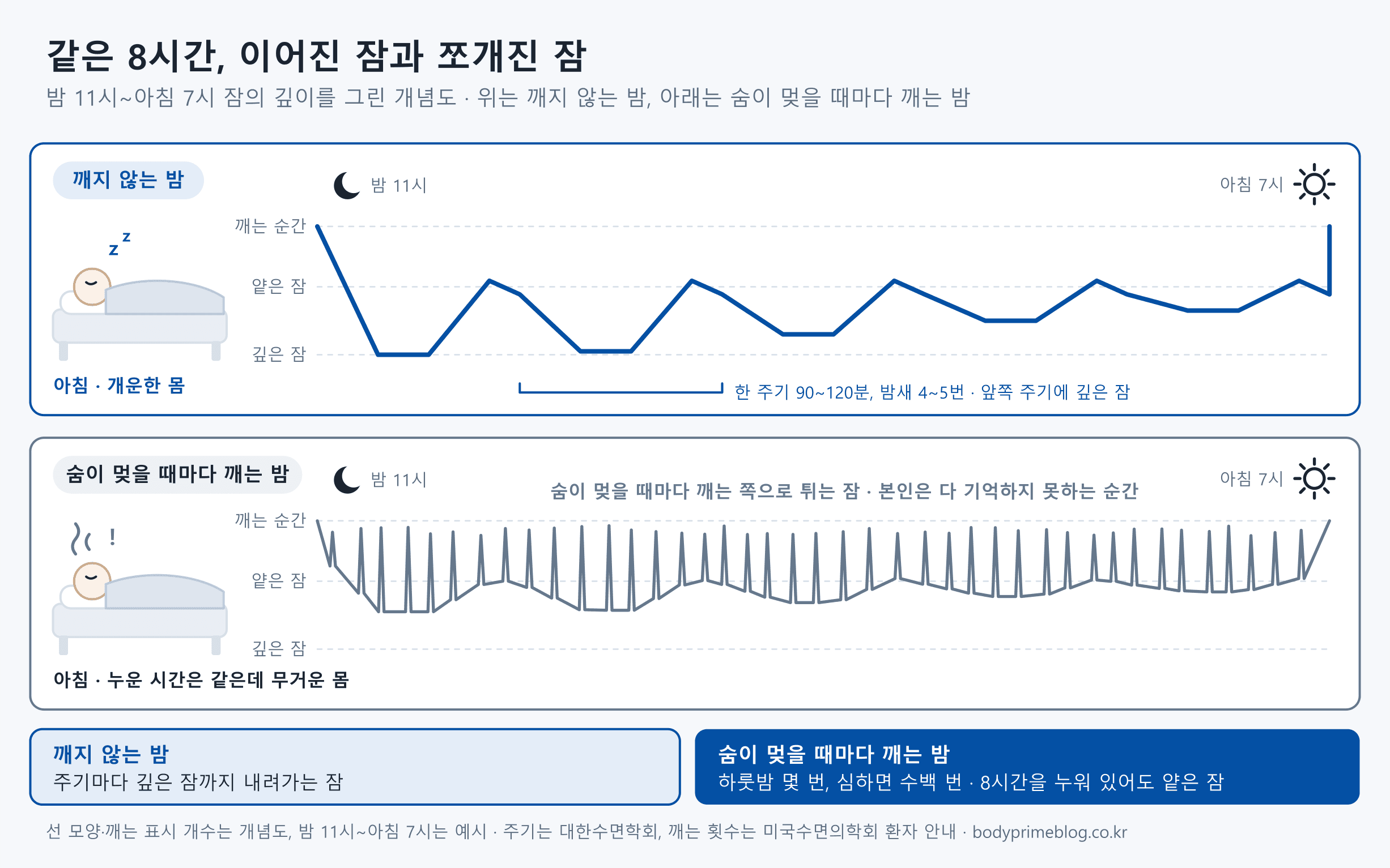밤 11시부터 아침 7시까지 같은 8시간 동안의 잠 깊이를 두 줄로 그린 개념도입니다. 위쪽 깨지 않는 밤은 잠이 얕은 잠과 깊은 잠 사이를 오가며 한 주기 90~120분씩 밤새 4~5번 반복되고, 앞쪽 주기에 깊은 잠이 많아 아침에 몸이 개운합니다. 아래쪽 밤은 숨이 멎을 때마다 깨는 쪽으로 짧게 튀는 표시가 수십 번 이어지고 깊은 잠까지 내려가지 못해, 누운 시간은 같아도 아침에 몸이 무겁습니다. 이런 깸은 하룻밤 몇 번에서 심하면 수백 번 생길 수 있고 본인은 다 기억하지 못합니다. 선 모양과 깨는 표시 개수는 개념이며, 주기는 대한수면학회, 깨는 횟수는 미국수면의학회 환자 안내를 따랐습니다.