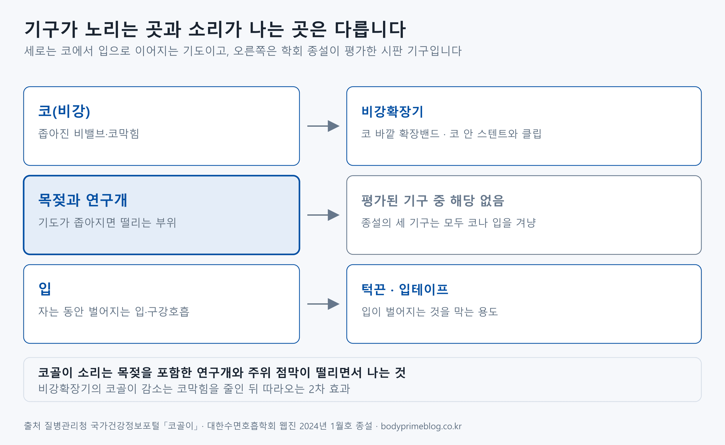 시판 코골이 방지 기구가 겨냥하는 위치를 코에서 입까지 세로로 배치한 도식입니다. 코(비강)의 좁아진 비밸브와 코막힘은 비강확장기가 겨냥하고, 목젖과 연구개는 기도가 좁아지면 떨리는 부위인데 학회 종설이 평가한 세 기구 중에는 이곳을 겨냥하는 것이 없습니다. 입에서 자는 동안 벌어지는 입과 구강호흡은 턱끈과 입테이프가 겨냥합니다. 코골이 소리는 목젖을 포함한 연구개와 주위 점막이 떨리면서 나며, 비강확장기의 코골이 감소는 코막힘을 줄인 뒤 따라오는 2차 효과입니다.